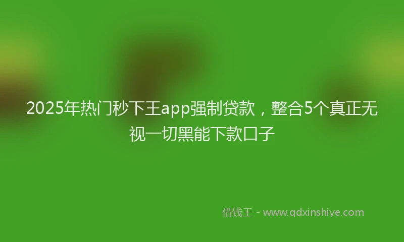 2025年热门秒下王app强制贷款，整合5个真正无视一切黑能下款口子