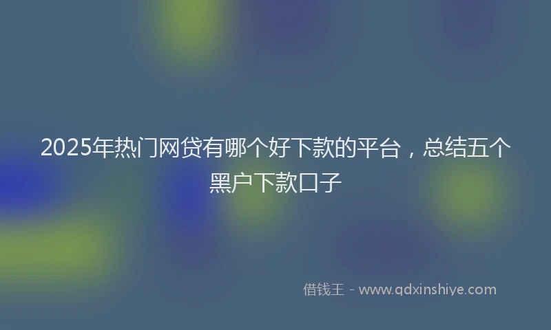 2025年热门网贷有哪个好下款的平台，总结五个黑户下款口子
