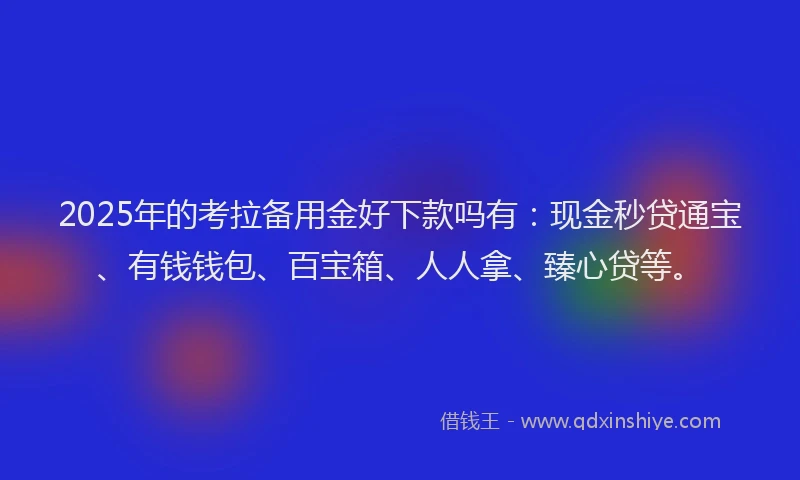 2025年的考拉备用金好下款吗有：现金秒贷通宝、有钱钱包、百宝箱、人人拿、臻心贷等。