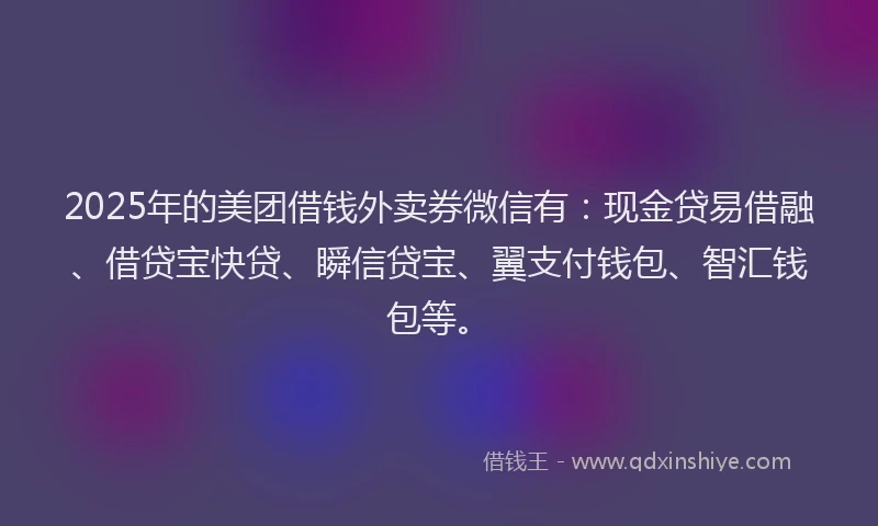 2025年的美团借钱外卖券微信有:现金贷易借融、借贷宝快贷、瞬信贷宝、翼支付钱包、智汇钱包等。