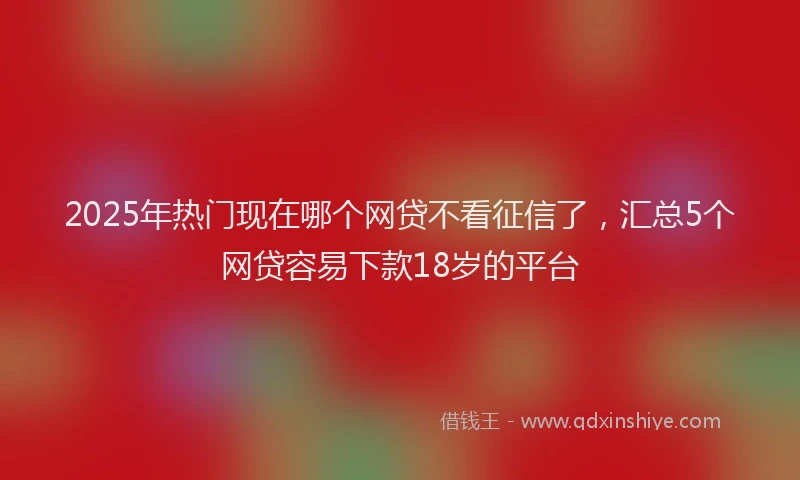 2025年热门现在哪个网贷不看征信了，汇总5个网贷容易下款18岁的平台