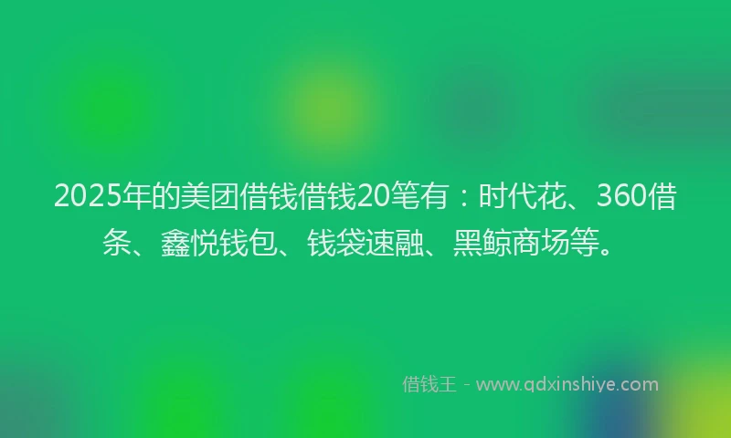 2025年的美团借钱借钱20笔有：时代花、360借条、鑫悦钱包、钱袋速融、黑鲸商场等。