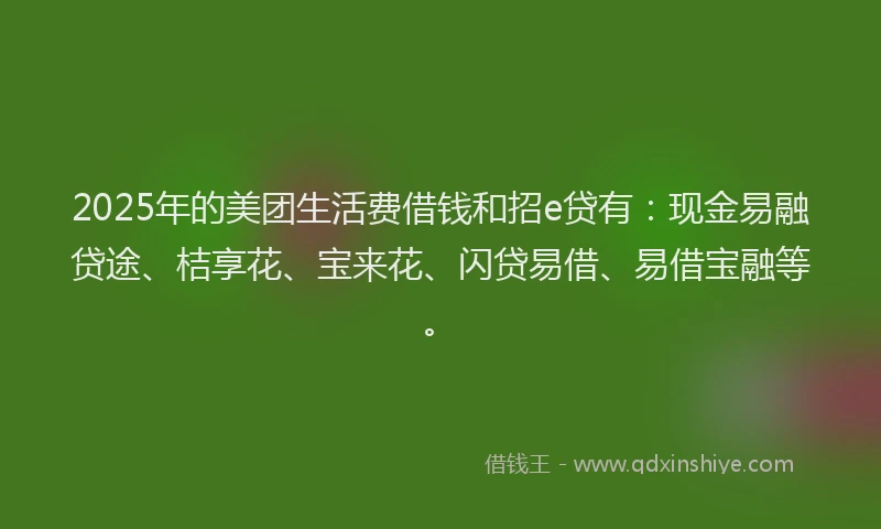 2025年的美团生活费借钱和招e贷有：现金易融贷途、桔享花、宝来花、闪贷易借、易借宝融等。