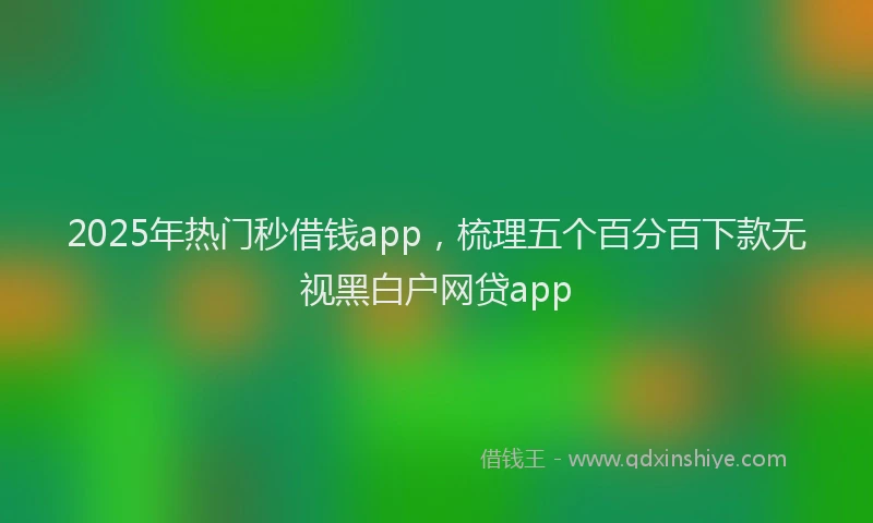 2025年热门秒借钱app，梳理五个百分百下款无视黑白户网贷app