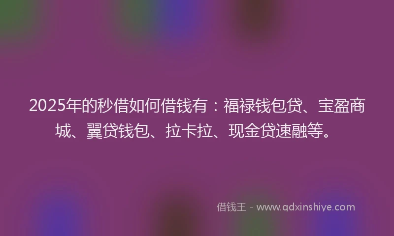 2025年的秒借如何借钱有：福禄钱包贷、宝盈商城、翼贷钱包、拉卡拉、现金贷速融等。