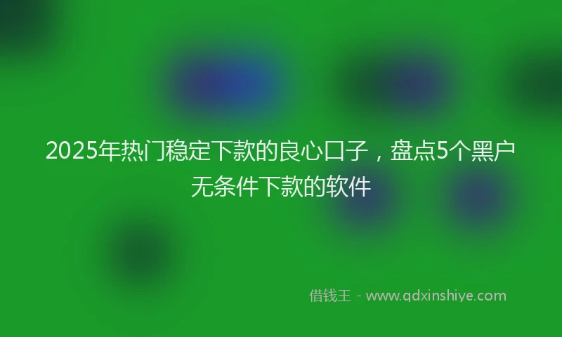 2025年热门稳定下款的良心口子，盘点5个黑户无条件下款的软件