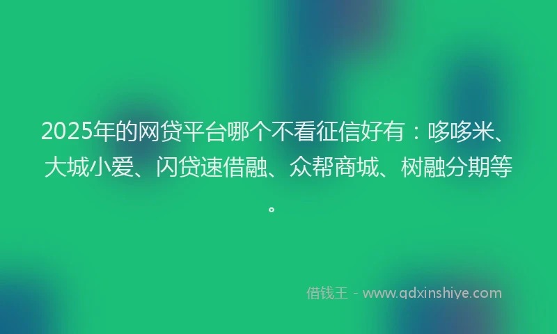 2025年的网贷平台哪个不看征信好有：哆哆米、大城小爱、闪贷速借融、众帮商城、树融分期等。
