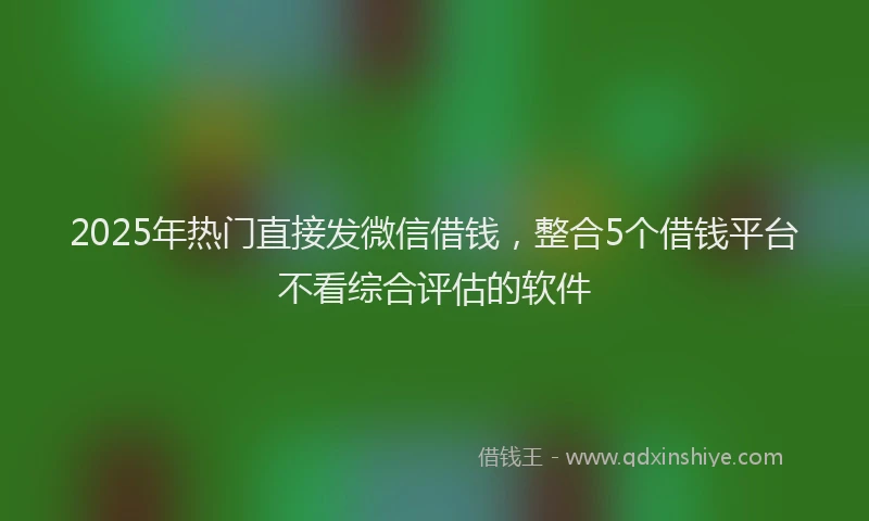 2025年热门直接发微信借钱，整合5个借钱平台不看综合评估的软件