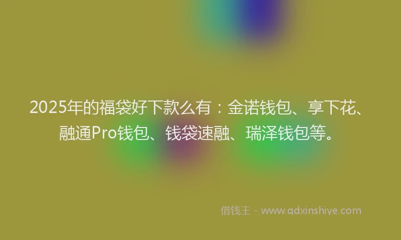 2025年的福袋好下款么有：金诺钱包、享下花、融通Pro钱包、钱袋速融、瑞泽钱包等。