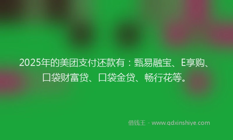 2025年的美团支付还款有：甄易融宝、E享购、口袋财富贷、口袋金贷、畅行花等。