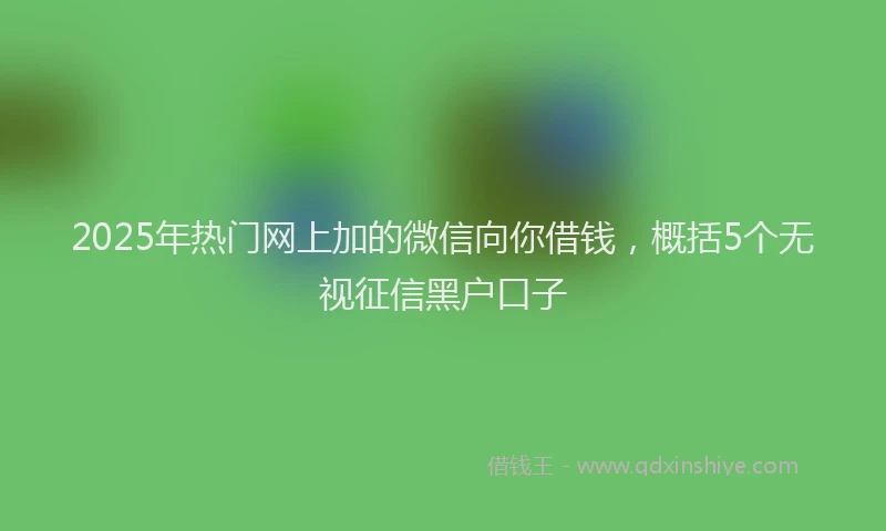 2025年热门网上加的微信向你借钱，概括5个无视征信黑户口子