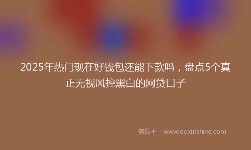 2025年热门现在好钱包还能下款吗，盘点5个真正无视风控黑白的网贷口子