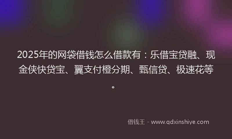 2025年的网袋借钱怎么借款有：乐借宝贷融、现金侠快贷宝、翼支付橙分期、甄信贷、极速花等。