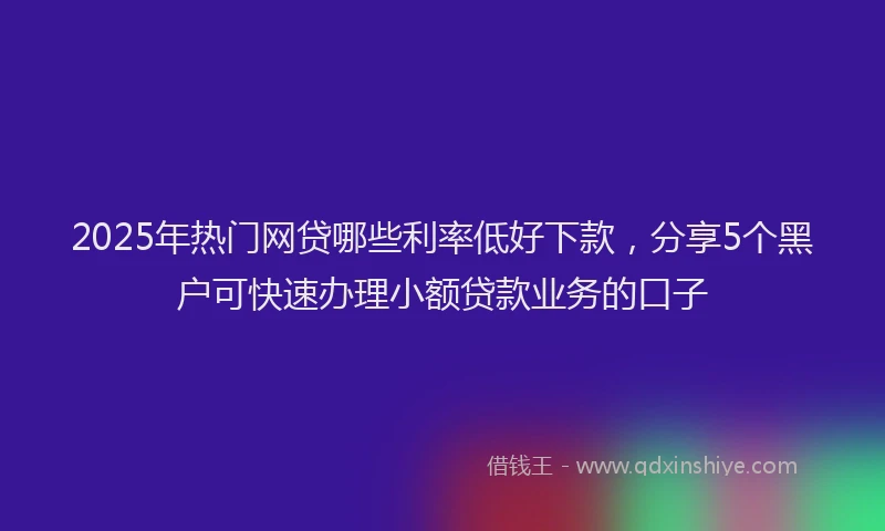 2025年热门网贷哪些利率低好下款，分享5个黑户可快速办理小额贷款业务的口子