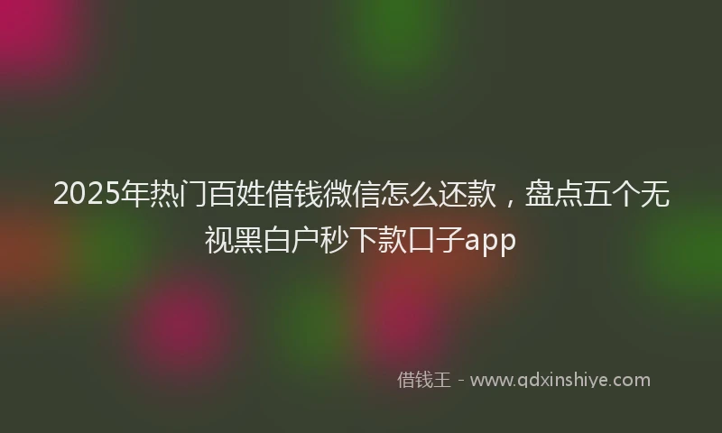 2025年热门百姓借钱微信怎么还款,盘点五个无视黑白户秒下款口子app