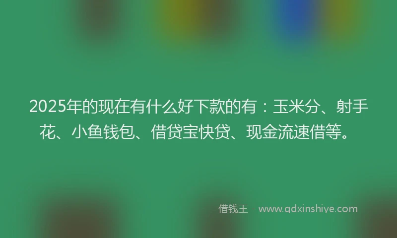 2025年的现在有什么好下款的有：玉米分、射手花、小鱼钱包、借贷宝快贷、现金流速借等。