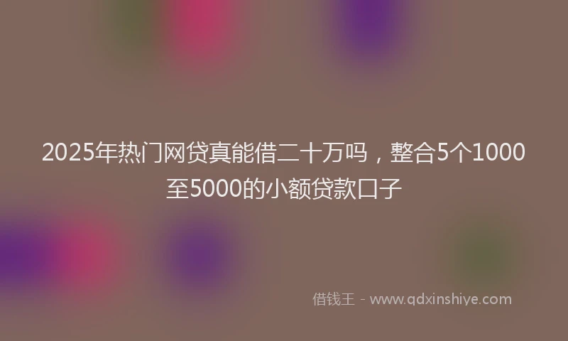2025年热门网贷真能借二十万吗，整合5个1000至5000的小额贷款口子