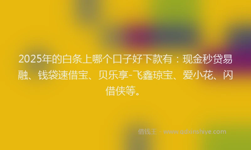 2025年的白条上哪个口子好下款有：现金秒贷易融、钱袋速借宝、贝乐享-飞鑫琼宝、爱小花、闪借侠等。