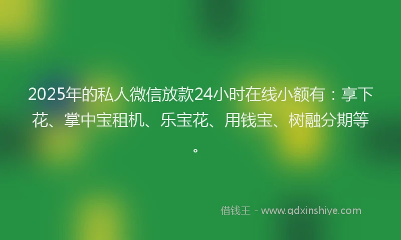 2025年的私人微信放款24小时在线小额有：享下花、掌中宝租机、乐宝花、用钱宝、树融分期等。