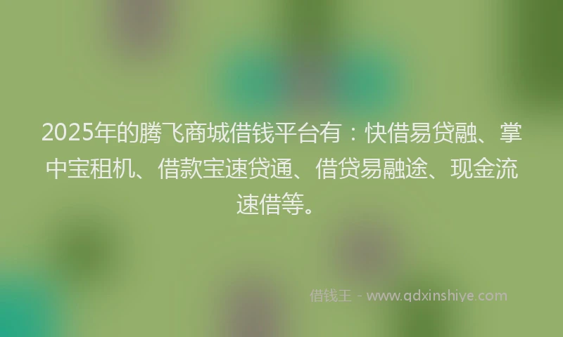 2025年的腾飞商城借钱平台有：快借易贷融、掌中宝租机、借款宝速贷通、借贷易融途、现金流速借等。