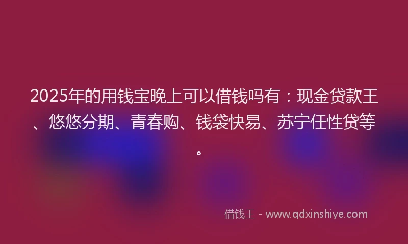 2025年的用钱宝晚上可以借钱吗有：现金贷款王、悠悠分期、青春购、钱袋快易、苏宁任性贷等。