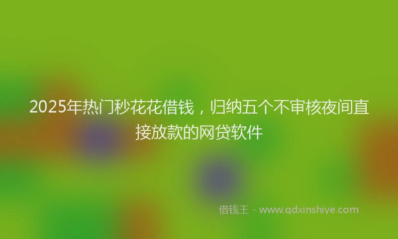 2025年热门秒花花借钱,归纳五个不审核夜间直接放款的网贷软件