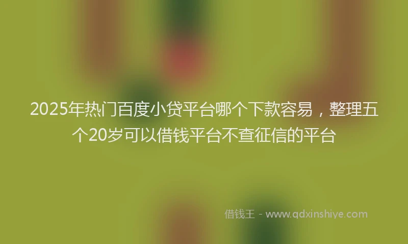 2025年热门百度小贷平台哪个下款容易，整理五个20岁可以借钱平台不查征信的平台