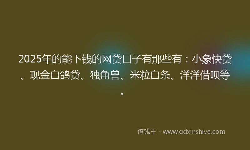 2025年的能下钱的网贷口子有那些有：小象快贷、现金白鸽贷、独角兽、米粒白条、洋洋借呗等。