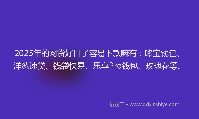 2025年的网贷好口子容易下款嘛有：哆宝钱包、洋葱速贷、钱袋快易、乐享Pro钱包、玫瑰花等。