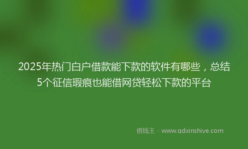 2025年热门白户借款能下款的软件有哪些,总结5个征信瑕疵也能借网贷轻松下款的平台