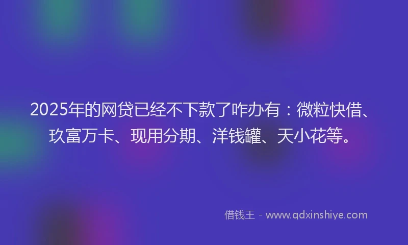 2025年的网贷已经不下款了咋办有：微粒快借、玖富万卡、现用分期、洋钱罐、天小花等。