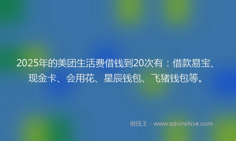 2025年的美团生活费借钱到20次有:借款易宝、现金卡、会用花、星辰钱包、飞猪钱包等。