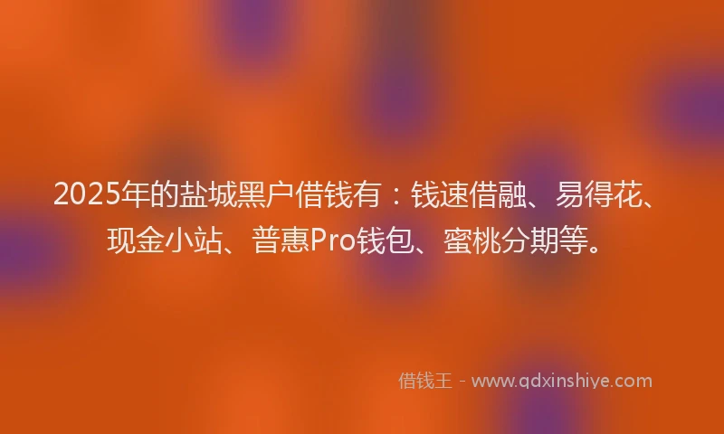 2025年的盐城黑户借钱有：钱速借融、易得花、现金小站、普惠Pro钱包、蜜桃分期等。