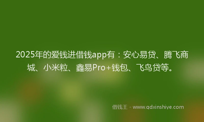 2025年的爱钱进借钱app有：安心易贷、腾飞商城、小米粒、鑫易Pro+钱包、飞鸟贷等。