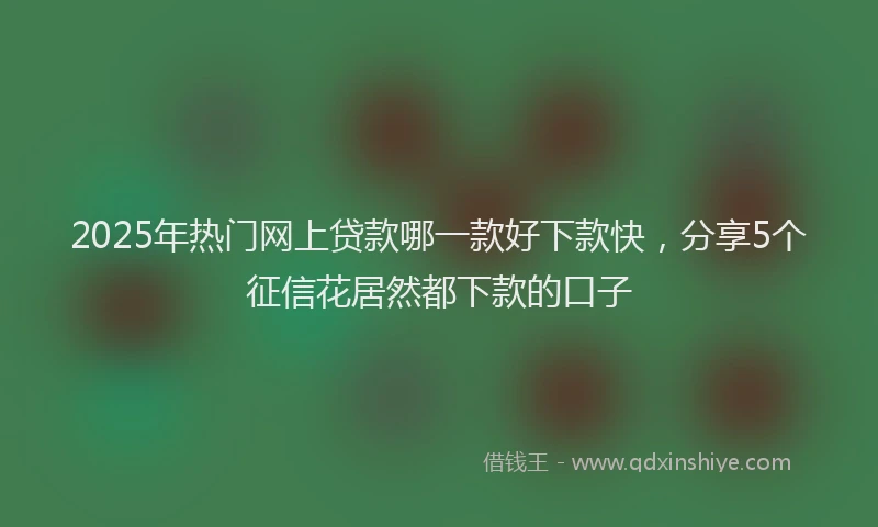 2025年热门网上贷款哪一款好下款快，分享5个征信花居然都下款的口子