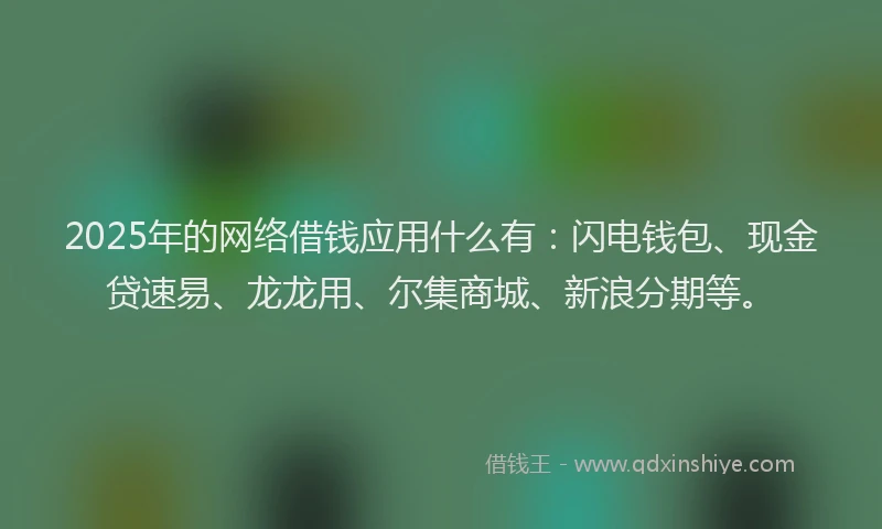 2025年的网络借钱应用什么有：闪电钱包、现金贷速易、龙龙用、尔集商城、新浪分期等。