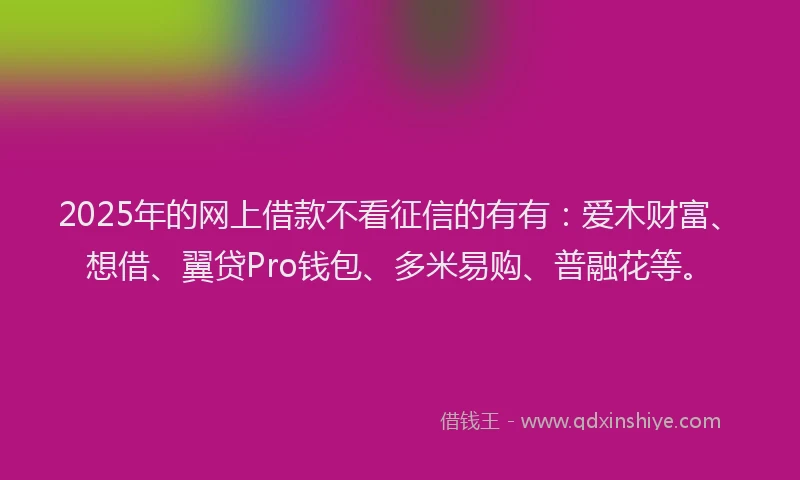 2025年的网上借款不看征信的有有：爱木财富、想借、翼贷Pro钱包、多米易购、普融花等。