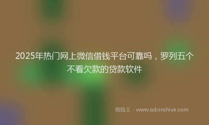 2025年热门网上微信借钱平台可靠吗，罗列五个不看欠款的贷款软件