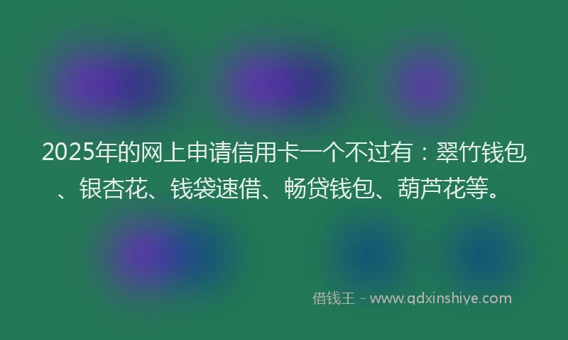 2025年的网上申请信用卡一个不过有：翠竹钱包、银杏花、钱袋速借、畅贷钱包、葫芦花等。