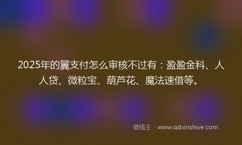 2025年的翼支付怎么审核不过有:盈盈金科、人人贷、微粒宝、葫芦花、魔法速借等。
