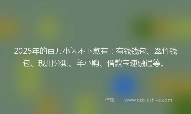 2025年的百万小闪不下款有：有钱钱包、翠竹钱包、现用分期、羊小购、借款宝速融通等。