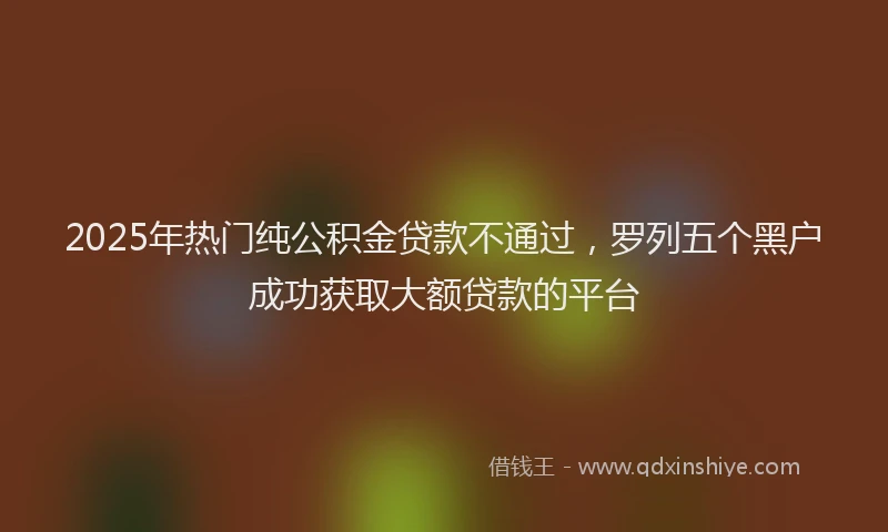 2025年热门纯公积金贷款不通过，罗列五个黑户成功获取大额贷款的平台