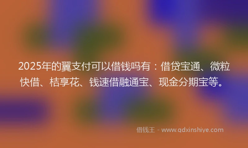 2025年的翼支付可以借钱吗有:借贷宝通、微粒快借、桔享花、钱速借融通宝、现金分期宝等。