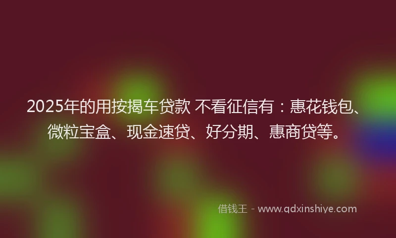 2025年的用按揭车贷款 不看征信有：惠花钱包、微粒宝盒、现金速贷、好分期、惠商贷等。