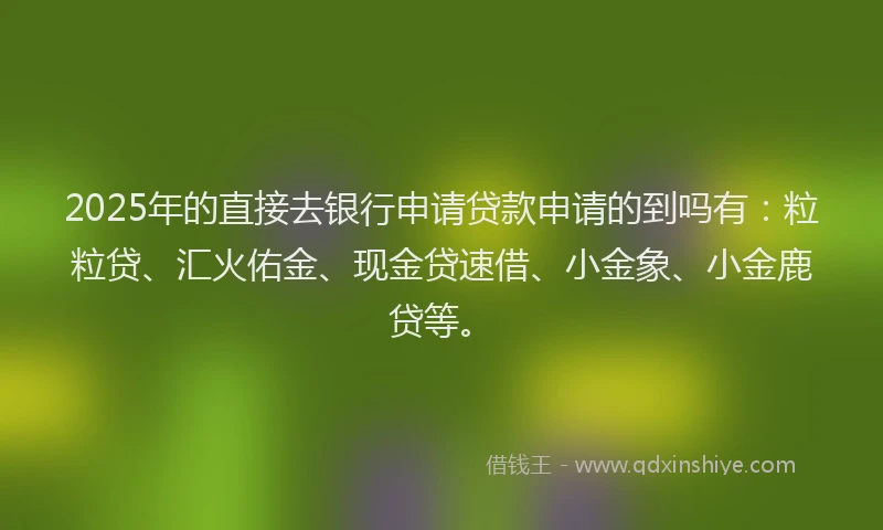 2025年的直接去银行申请贷款申请的到吗有:粒粒贷、汇火佑金、现金贷速借、小金象、小金鹿贷等。