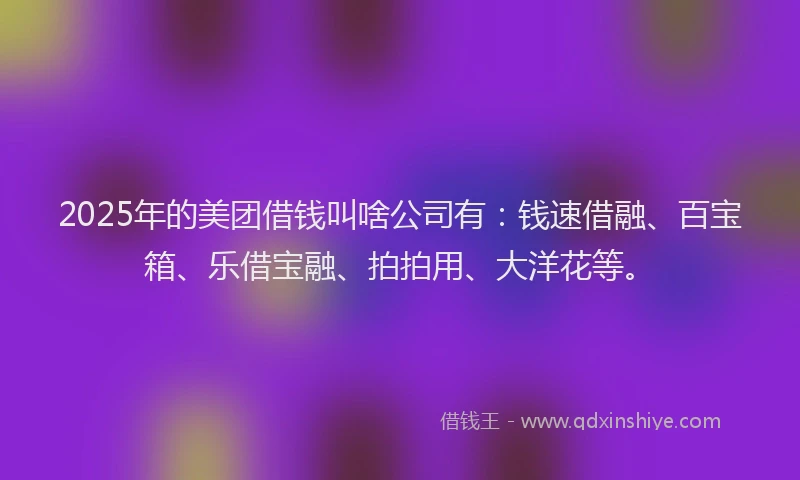 2025年的美团借钱叫啥公司有:钱速借融、百宝箱、乐借宝融、拍拍用、大洋花等。