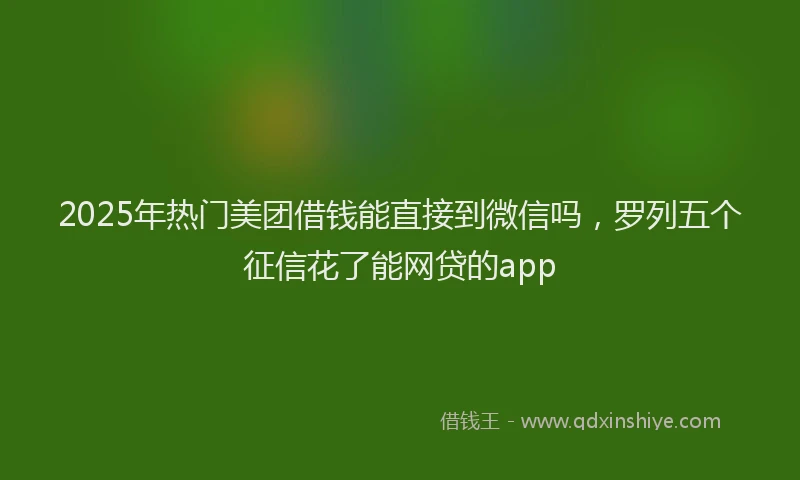2025年热门美团借钱能直接到微信吗,罗列五个征信花了能网贷的app
