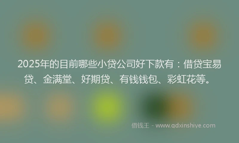 2025年的目前哪些小贷公司好下款有：借贷宝易贷、金满堂、好期贷、有钱钱包、彩虹花等。