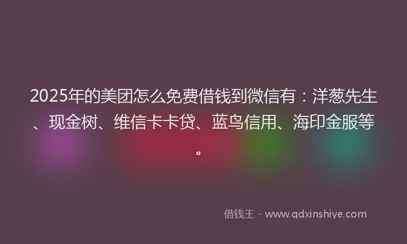 2025年的美团怎么免费借钱到微信有：洋葱先生、现金树、维信卡卡贷、蓝鸟信用、海印金服等。
