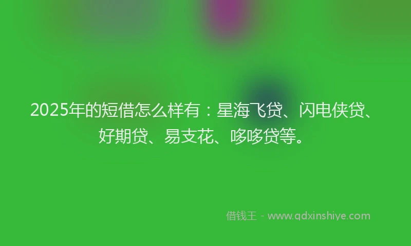 2025年的短借怎么样有：星海飞贷、闪电侠贷、好期贷、易支花、哆哆贷等。